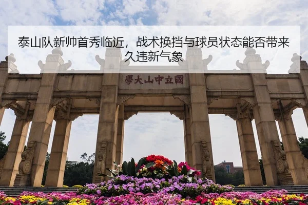 tai-shan-dui-xin-shuai-shou-xiu-lin-jin-zhan-shu-huan-dang-yu-qiu-yuan-zhuang-tai-neng-fou-dai-lai-jiu-wei-xin-qi-xiang-3-376.jpg